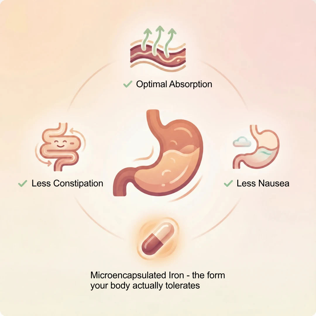 Illustration of microencapsulated iron and stomach comfort